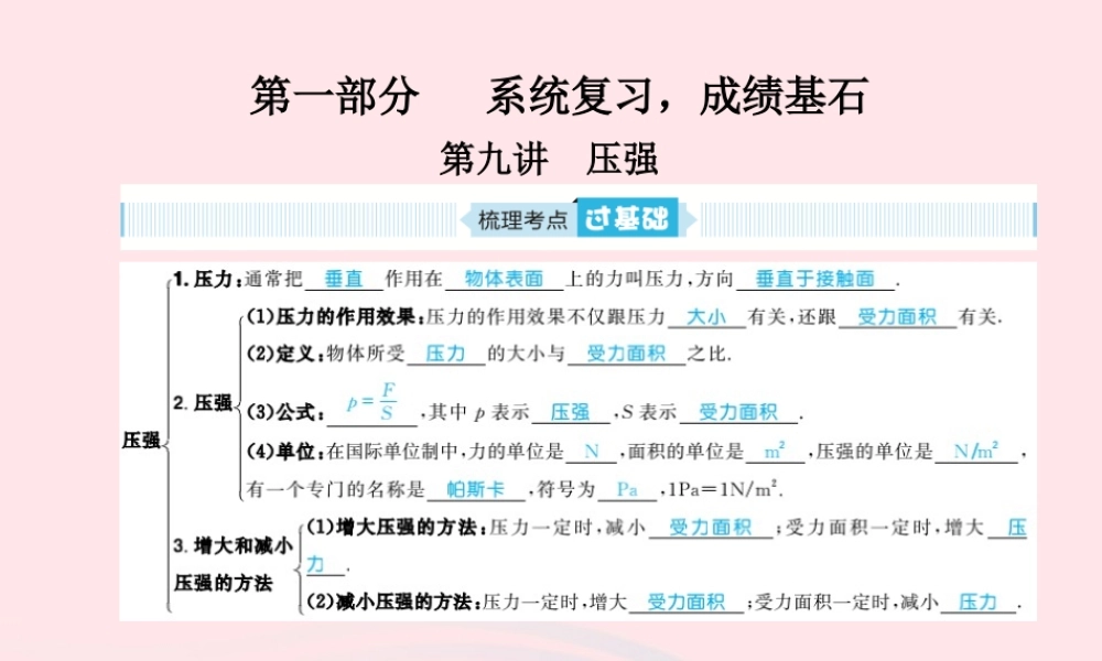 中考物理总复习 八下 第9讲 压强课件