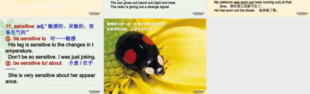 Unit13语言点 重庆地区高二英语Unit13语言点和语法课件[整理二课时]新课标 人教版 重庆地区高二英语Unit13语言点和语法课件[整理二课时]新课标 人教版