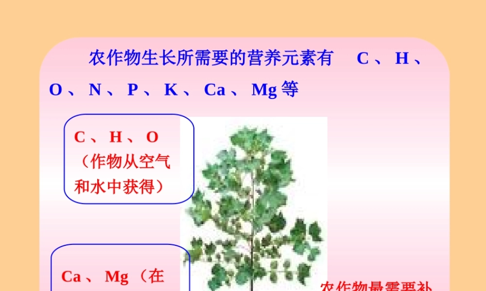 九年级化学下册 第十一单元化学肥料课件 人教新课标版 课件