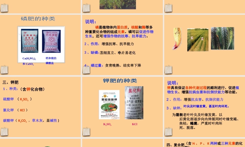 九年级化学下册 第十一单元化学肥料课件 人教新课标版 课件