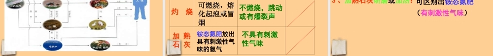 九年级化学下册 第十一单元化学肥料课件 人教新课标版 课件