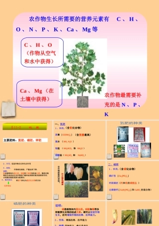 九年级化学下册 第十一单元化学肥料课件 人教新课标版 课件