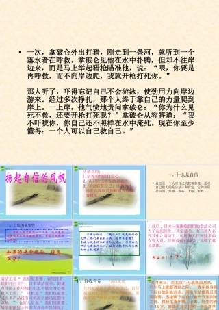 七年级政治下册 (扬起自信的风帆)课件 人教新课标版 课件