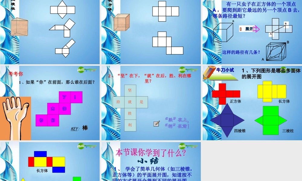 七年级数学上册 5.3 展开与折叠第一课时课件 苏科版 课件