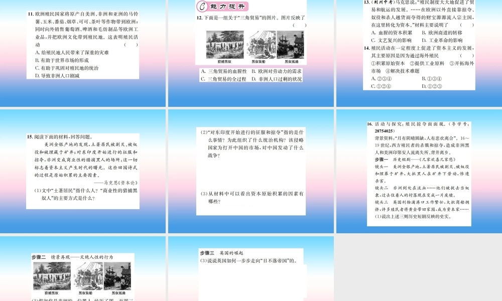 九年级历史上册 第5单元 步入近代 第16课 早期殖民掠夺作业课件 新人教版 课件