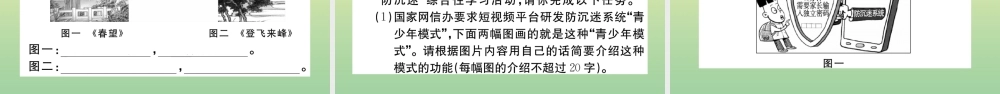 (河北专版)九年级语文上册 第五单元 17 中国人失掉自信力了吗作业课件 新人教版 课件
