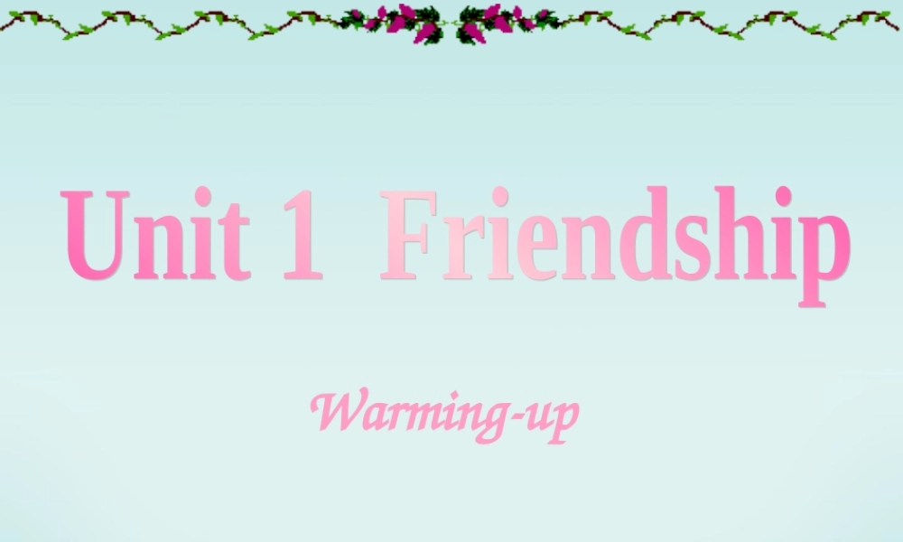 Unit1 Friendship 新课标 人教版 课件