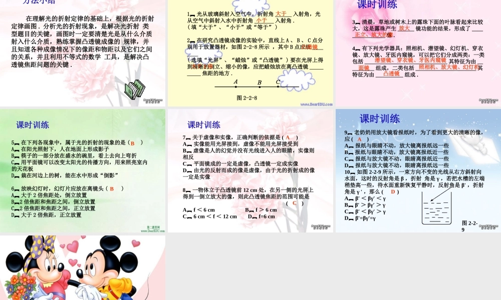 中考物理专题复习第二章 光学二 新课标 人教版 试题