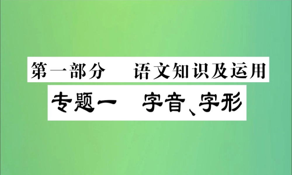 中考语文复习 第一部分 语文知识及运用 专题一 字音、字形课件