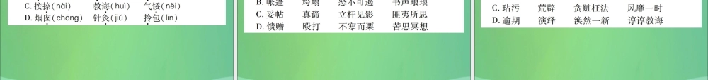 中考语文复习 第一部分 语文知识及运用 专题一 字音、字形课件
