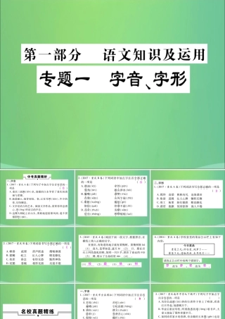 中考语文复习 第一部分 语文知识及运用 专题一 字音、字形课件