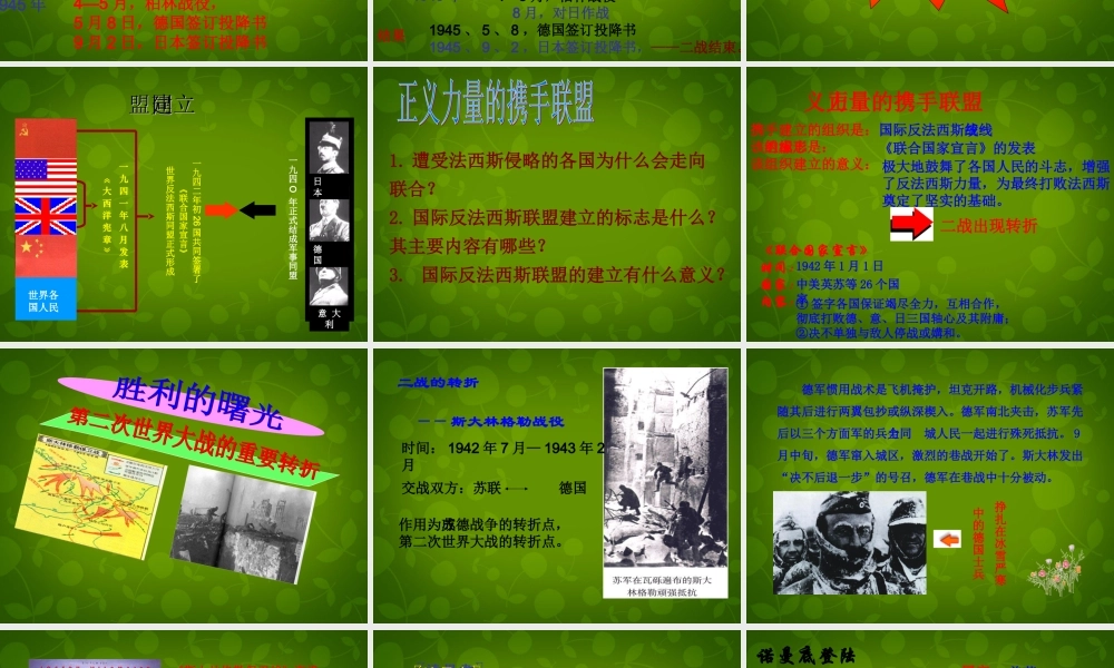 九年级历史下册 8 正义的胜利课件 北师大版 课件