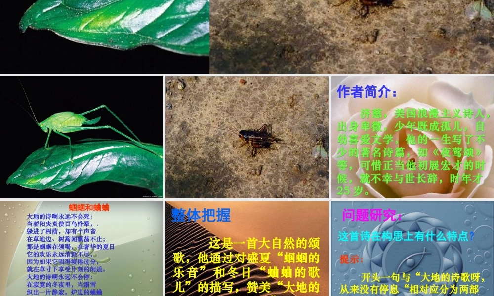 (外国诗两首)课件3 九年级语文上册第一单元(外国诗两首)课件6套人教版