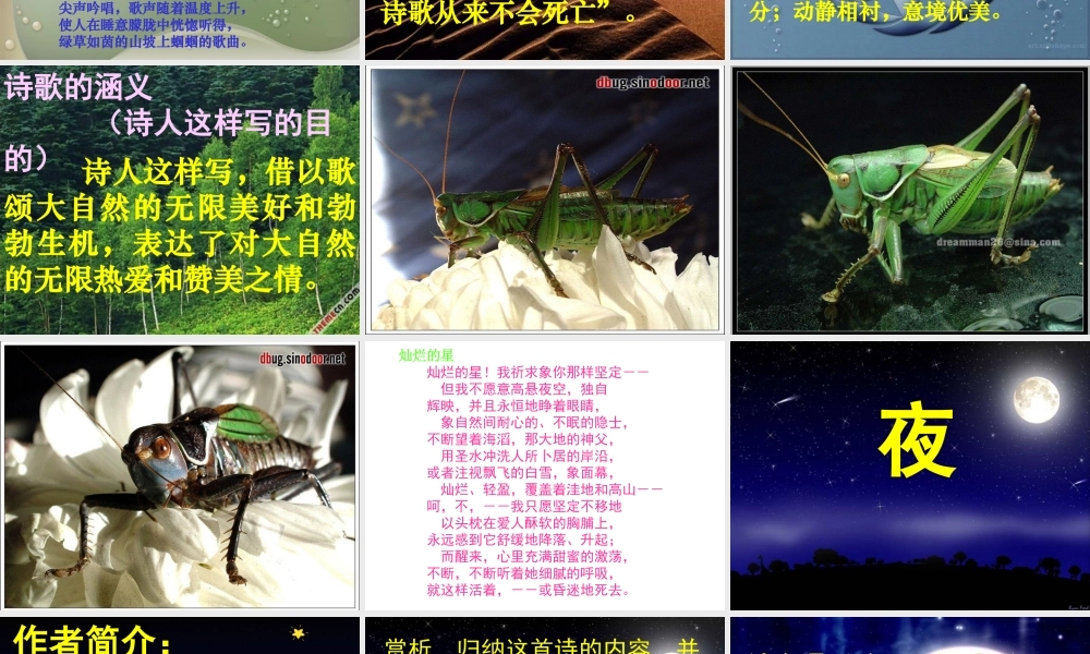 (外国诗两首)课件3 九年级语文上册第一单元(外国诗两首)课件6套人教版