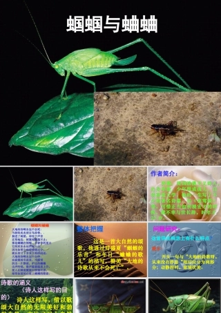 (外国诗两首)课件3 九年级语文上册第一单元(外国诗两首)课件6套人教版