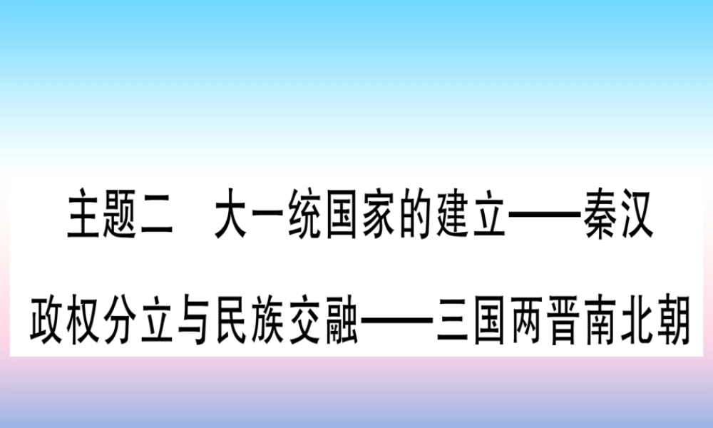 (云南专用)中考历史总复习 第一篇 考点系统复习 板块1 中国古代史 主题二 大一统国家的建立—秦汉 政权分立与民族交融—三国两晋南北朝(精练)课件