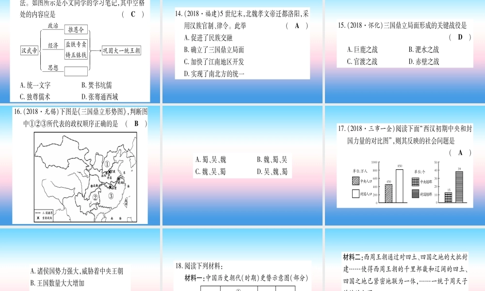 (云南专用)中考历史总复习 第一篇 考点系统复习 板块1 中国古代史 主题二 大一统国家的建立—秦汉 政权分立与民族交融—三国两晋南北朝(精练)课件