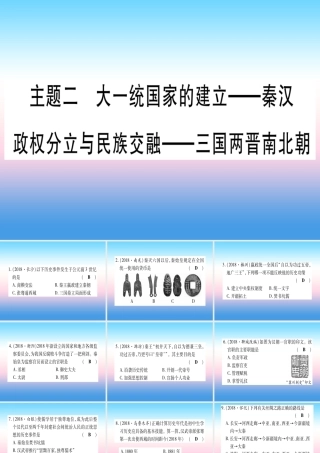 (云南专用)中考历史总复习 第一篇 考点系统复习 板块1 中国古代史 主题二 大一统国家的建立—秦汉 政权分立与民族交融—三国两晋南北朝(精练)课件