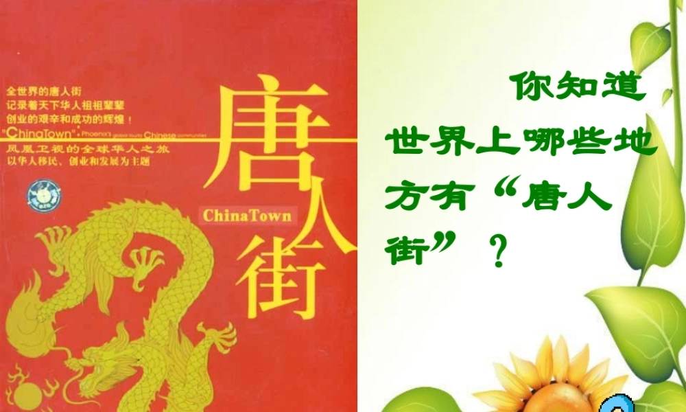 七年级历史下册开放与交流2课件北师大版 课件