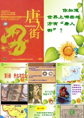 七年级历史下册开放与交流2课件北师大版 课件