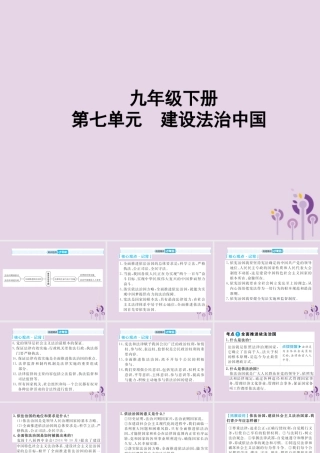 中考道德与法治总复习 九下 第七单元 建设法治中国课件