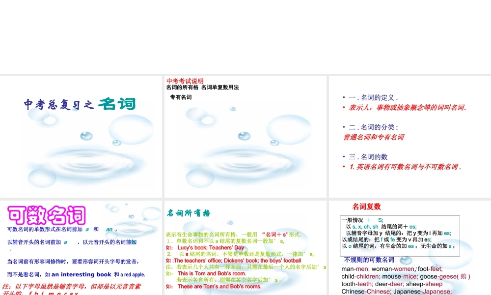 中考英语之名词用法及考点介绍复习课件全国通用 课件