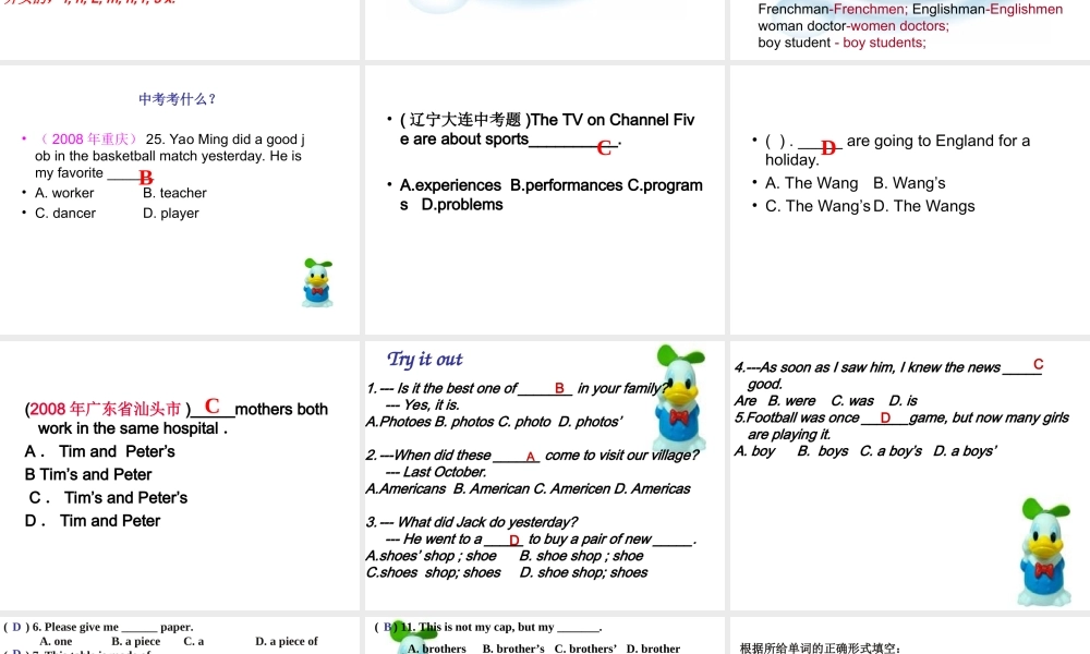 中考英语之名词用法及考点介绍复习课件全国通用 课件
