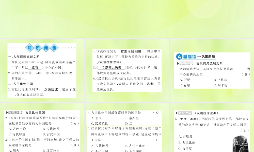 九年级历史上册 第1单元 古代亚非文明 第2课 古代两河流域习题课件 新人教版 课件