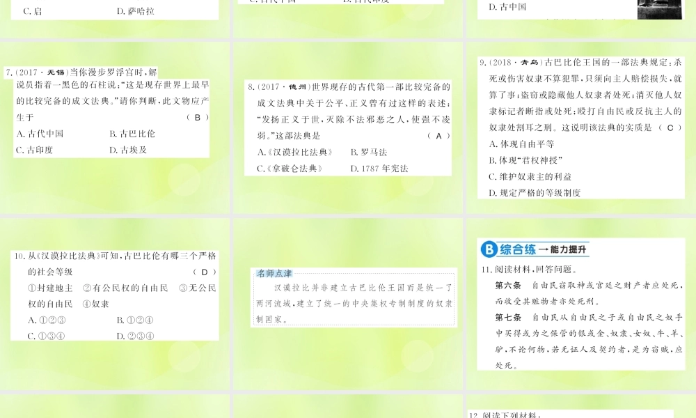 九年级历史上册 第1单元 古代亚非文明 第2课 古代两河流域习题课件 新人教版 课件