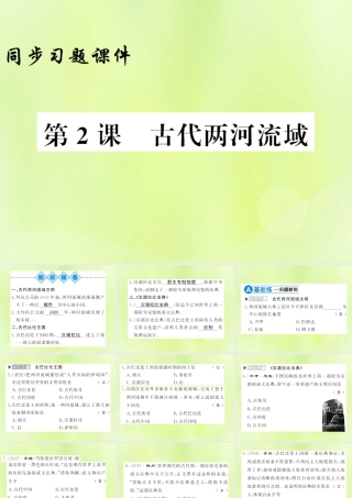 九年级历史上册 第1单元 古代亚非文明 第2课 古代两河流域习题课件 新人教版 课件