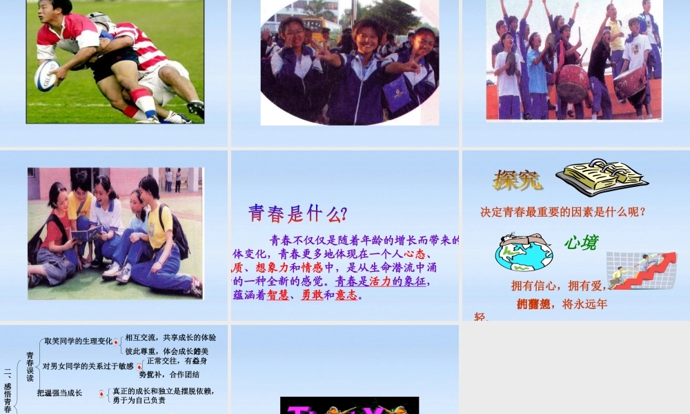 七年级政治上册 感悟青春课件 人教新课标版 课件