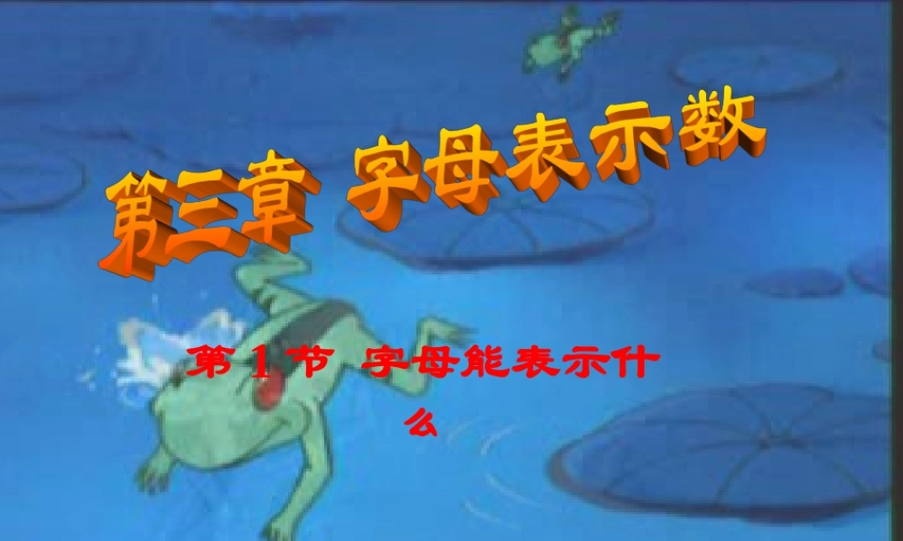 七年级数学上册 字母能表示什么课件 北师大版 课件