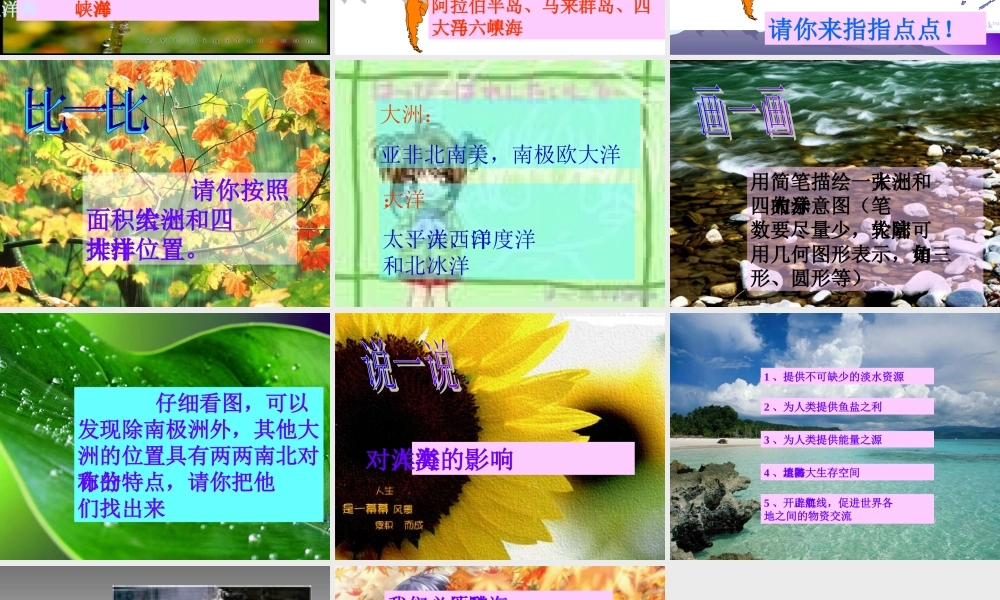 七年级历史与社会上册 大洲和大洋课件 人教新课标版 课件