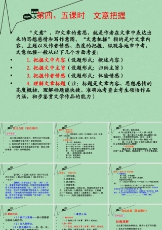 中考语文 考点技法点拨 记叙文与文学作品阅读 第4 5课时课件