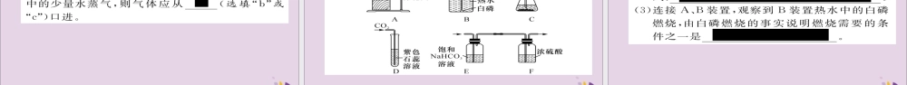 (遵义专版)中考化学总复习 第2编 重点题型突破篇 专题1 常见气体的制取与净化(精练)课件