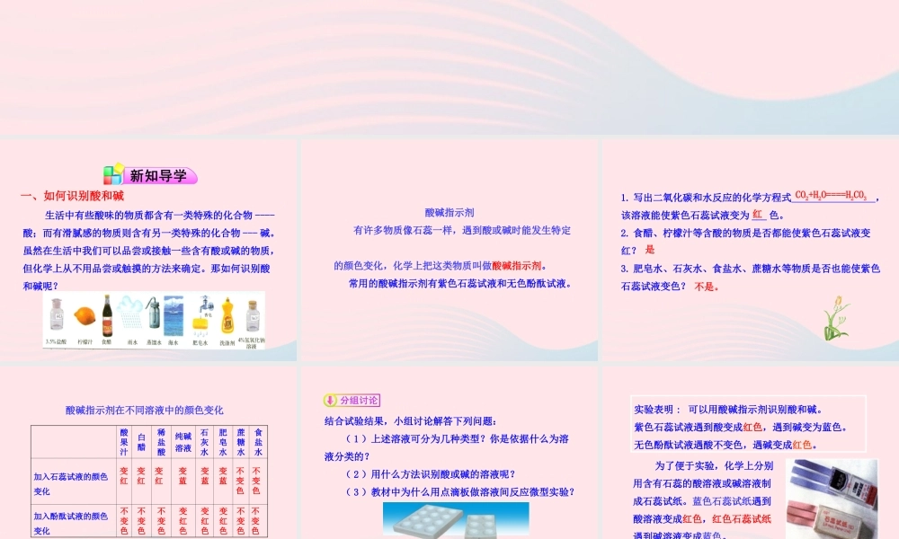 九年级化学全册 第一单元 常见的酸和碱 第一节 生活中的酸和碱课件 鲁教版五四制 课件