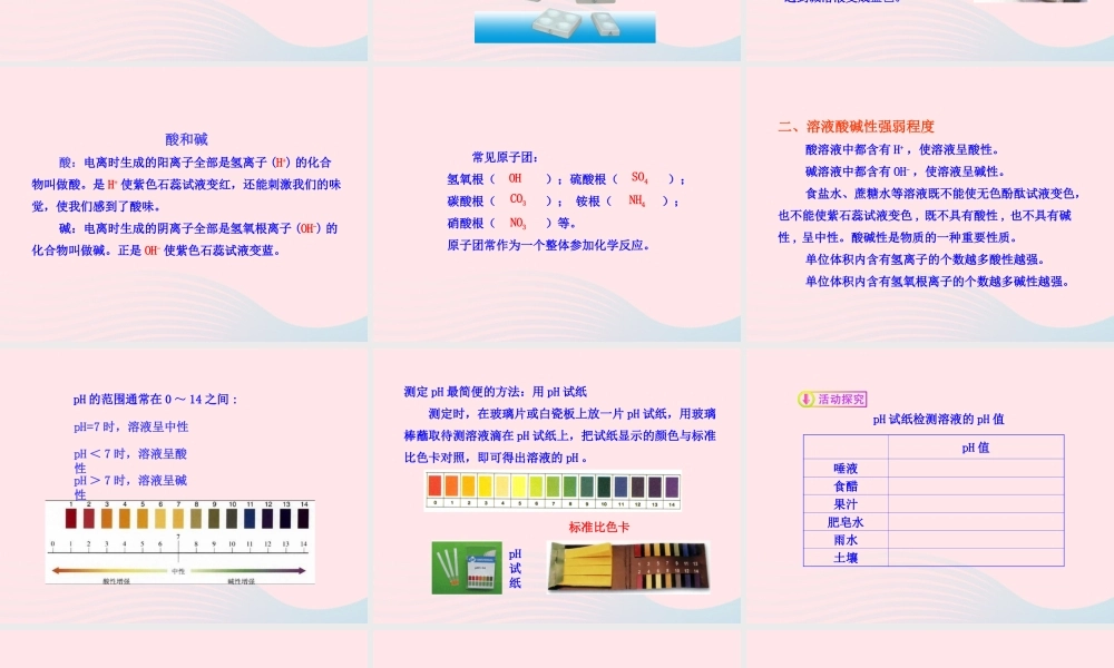 九年级化学全册 第一单元 常见的酸和碱 第一节 生活中的酸和碱课件 鲁教版五四制 课件
