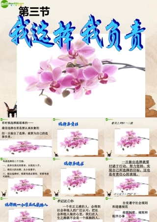 七年级政治下册 第三节我选择 我负责课件 湘教版 课件