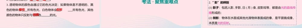中考物理一轮复习 第2讲 光现象课件