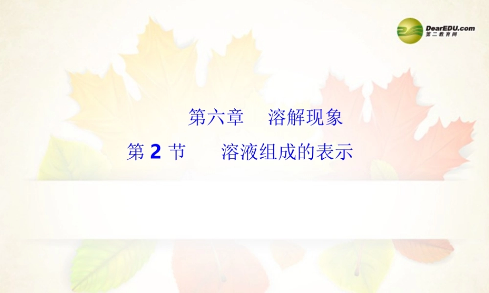 九年级化学全册 第6章 第2节 溶液组成的表示课件 沪教版 课件