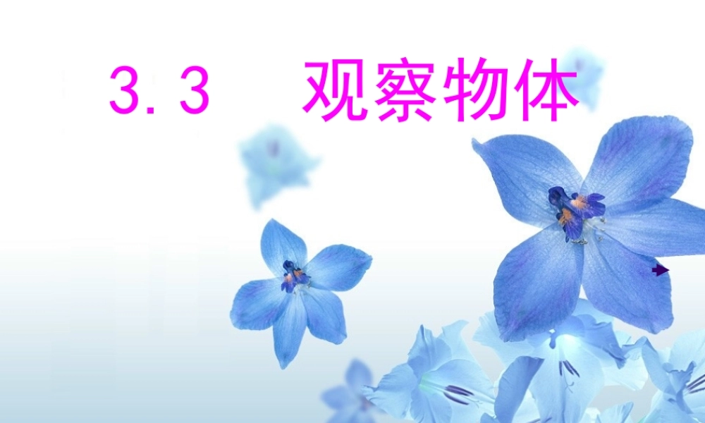 七年级数学上 3.3观察物体 课件北师大版 课件