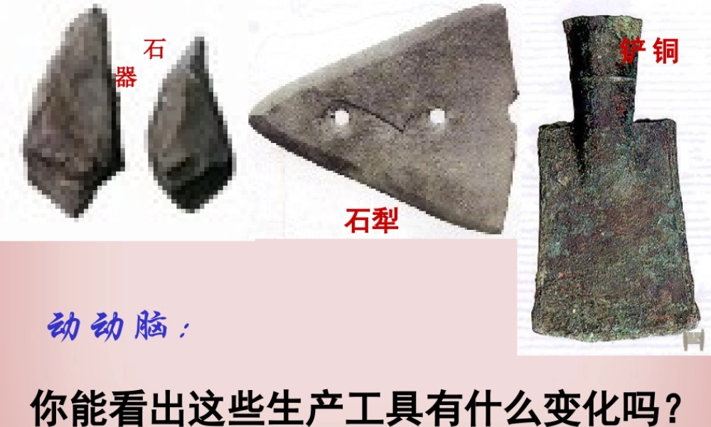 七年级历史第7课大变革的时代课件 新课标 课件