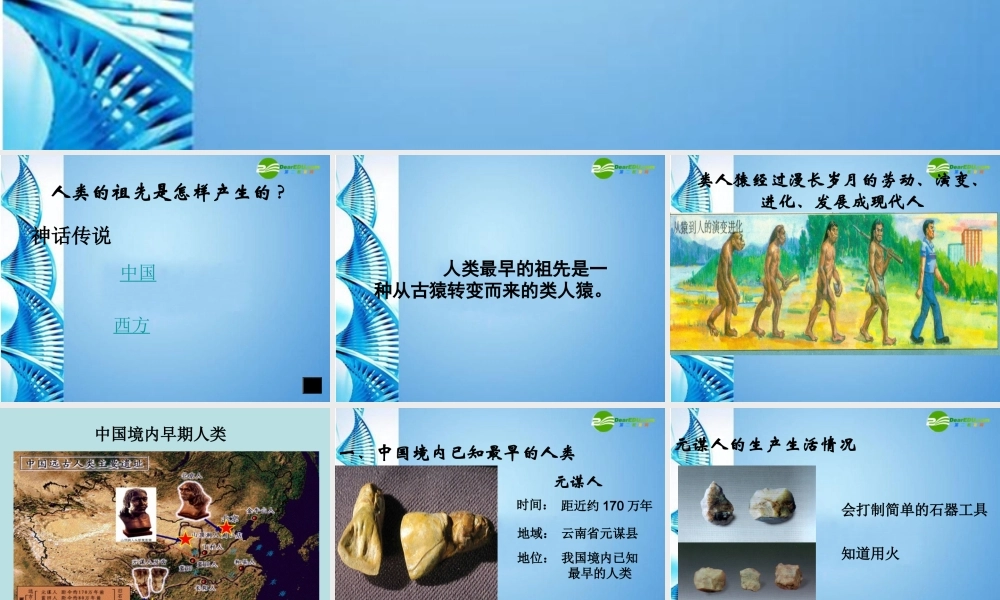 七年级历史上册 第1课 祖国境内的早期人类课件 冀教版 课件