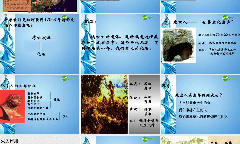 七年级历史上册 第1课 祖国境内的早期人类课件 冀教版 课件