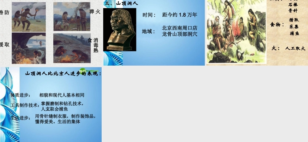 七年级历史上册 第1课 祖国境内的早期人类课件 冀教版 课件