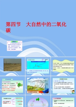 九年级化学上册 第四节 大自然中的二氧化碳同步授课课件 鲁教版 课件