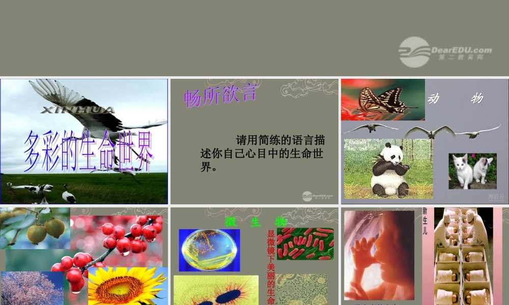 七年级政治上册 第一课第一框 多彩的生命世界课件 鲁教版 课件