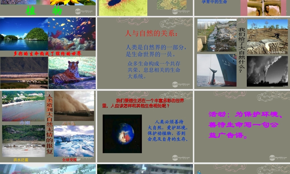 七年级政治上册 第一课第一框 多彩的生命世界课件 鲁教版 课件