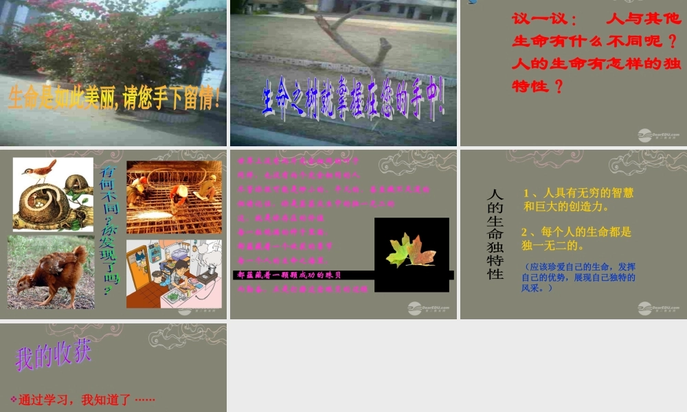 七年级政治上册 第一课第一框 多彩的生命世界课件 鲁教版 课件