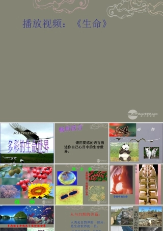 七年级政治上册 第一课第一框 多彩的生命世界课件 鲁教版 课件